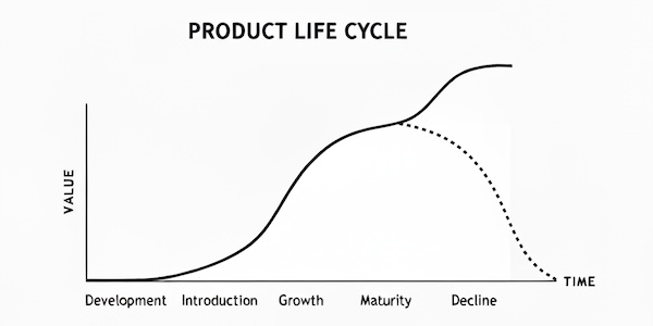 Product life cycle chart showing development, introduction, growth, maturity, and decline stages over time with value curve.